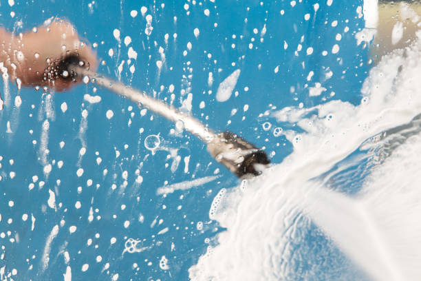 Best Animal Enclosure Cleaning  in St Martinville, LA